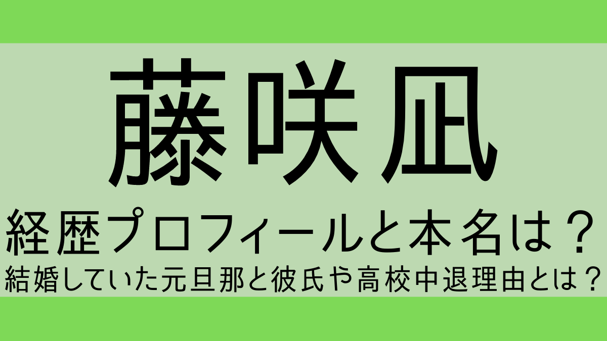 fujisakinagi_profile